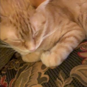 Meet your Posher, Nick